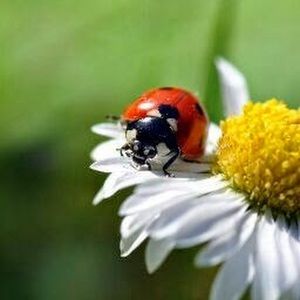 Meet your Posher, Christa